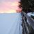 Patricia Wiers's profile image