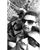 David Franco Jr.'s profile image