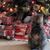 Terri Tighe Meiser's profile image