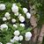 Kathy Ura Sullivan's profile image
