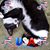 Penny Penny's profile image