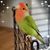 Amanda Blondin's profile image