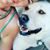Amanda R Adamson's profile image