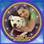 Julie Vittorella Smith's profile image