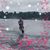 Cheryl Rappolt's profile image