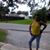 Yolanda Comeaux's profile image