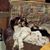 Darlene Criswell's profile image