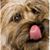 Roxy No Lucy's profile image