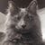 Dorota DeVille's profile image