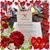 Linda Swanson's profile image