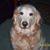 Terry Koenig Ramm's profile image