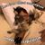 Pablo Dodero Carrillo's profile image