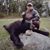Tina Merryman's profile image