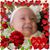 Deborah Stanciu-Ciccarelli's profile image