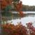 Bonnie Sivanich's profile image