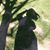 Xiao XiaoEr's profile image