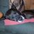 Kelly Mummert-Stiles's profile image