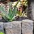 Eileen Houghton's profile image