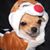 Haruka Griffith's profile image