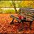 Shazia Haider's profile image