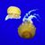 Gail Cook's profile image
