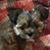 Jim Jmedn Mead's profile image