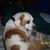 Angela Mayberry McIver's profile image