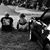 Shane Dierolf's profile image