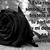 Sandy Avila's profile image