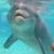 Lisa Harris's profile image