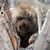 Chris Bond's profile image