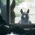 Lara Gray Baumann's profile image