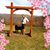 CarolAnn Sondermann Corbett's profile image