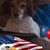 Patrick Linda Hamilton's profile image