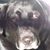 Edwina A Murphy's profile image