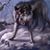 Dire Wolf's profile image