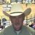 Ron Yust's profile image