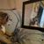 Cindi Bryant's profile image