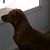 Cindy Blaine's profile image