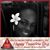 Quise Vincent Glass's profile image