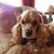 Diane Rake's profile image