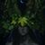 Rachel Irene Moore's profile image