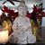 Jude Johnson-Shupe's profile image