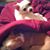 Karen Lee's profile image