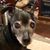 Joy Easton's profile image
