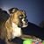 Maria Suarez Del Moral's profile image