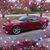 Tammy Kanitz Bogi's profile image