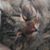 Rebekah Holsinger's profile image