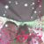 Sherry Hauser's profile image