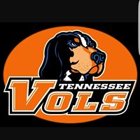 Donelle Simmons's profile image